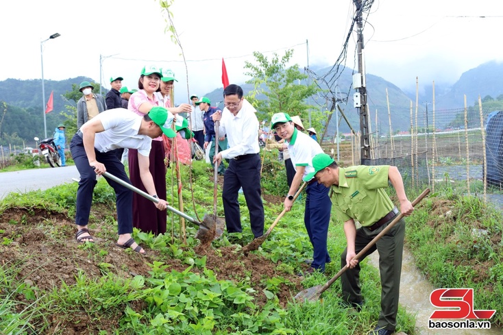 Tree-planting campaign launched in Son La province