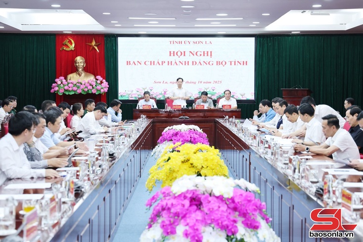 Hội nghị Ban Thường vụ Tỉnh ủy, Ban Chấp hành Đảng bộ tỉnh, cán bộ chủ chốt toàn tỉnh thực hiện quy trình về công tác cán bộ 