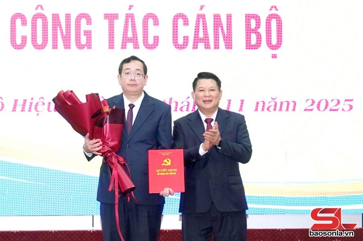 Công bố quyết định của Ban Thường vụ Tỉnh ủy về công tác cán bộ