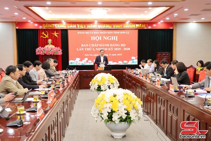 Hội nghị Ban Chấp hành Đảng bộ UBND tỉnh Sơn La lần thứ I, nhiệm kỳ 2025 - 2030