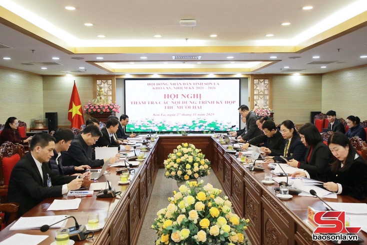 Thẩm tra các nội dung thuộc lĩnh vực kinh tế - ngân sách trình Kỳ họp thứ mười hai HĐND tỉnh