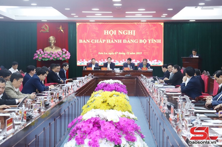 Hội nghị Ban Chấp hành Đảng bộ tỉnh