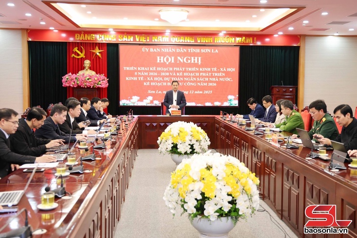 Triển khai kế hoạch phát triển kinh tế - xã hội, dự toán ngân sách nhà nước, kế hoạch đầu tư công năm 2026