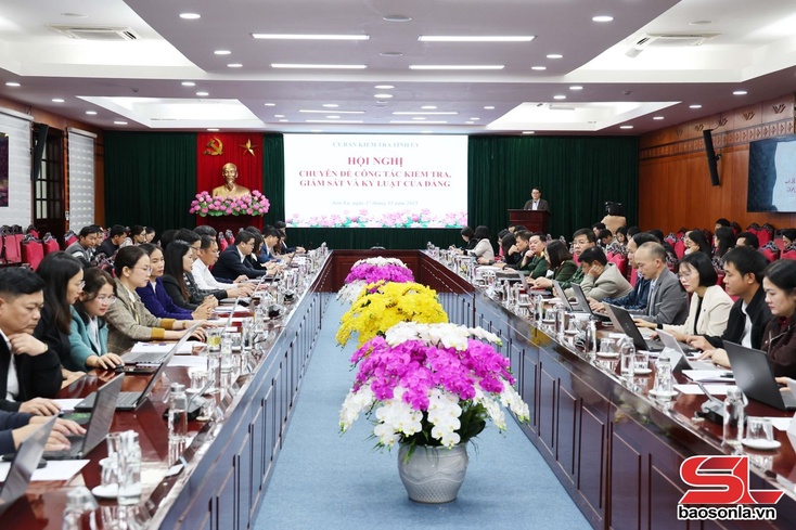 Hội nghị chuyên đề công tác kiểm tra, giám sát và kỷ luật của Đảng