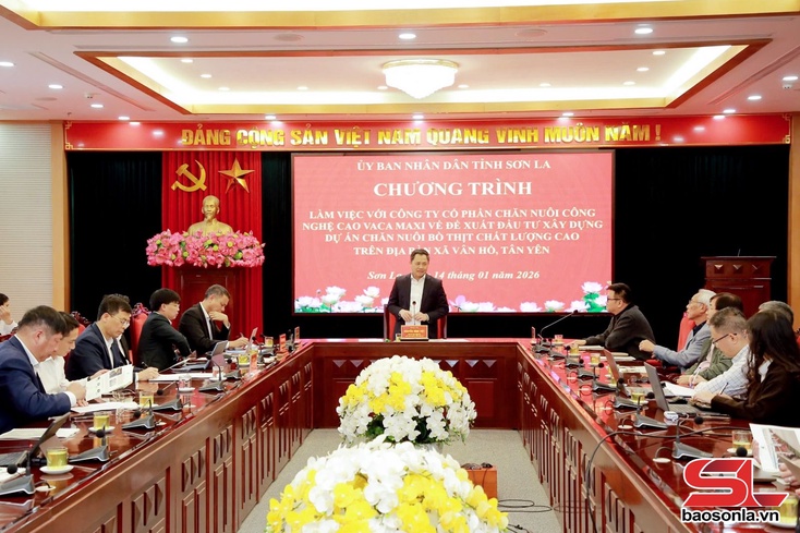 Đề xuất triển khai dự án chăn nuôi bò thịt chất lượng cao và chế biến thức ăn gia súc tại Sơn La