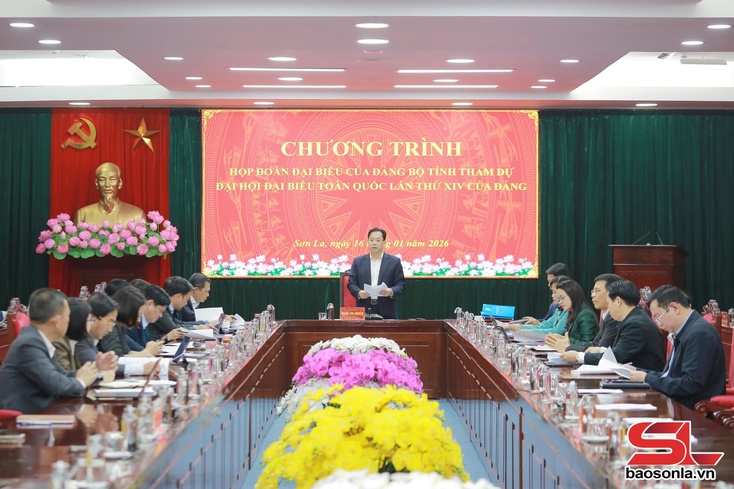 Họp Đoàn đại biểu của Đảng bộ tỉnh tham dự Đại hội đại biểu toàn quốc lần thứ XIV của Đảng