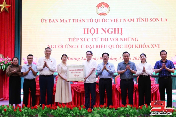 Thực hiện tốt vai trò của người đại biểu dân cử