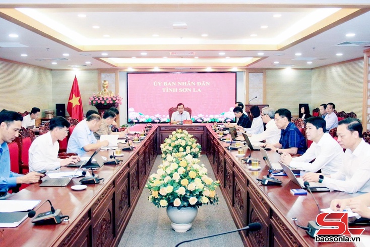 Đồng chí Phó Chủ tịch Thường trực UBND tỉnh làm việc với các sở, ngành về triển khai nhiệm vụ lĩnh vực y tế