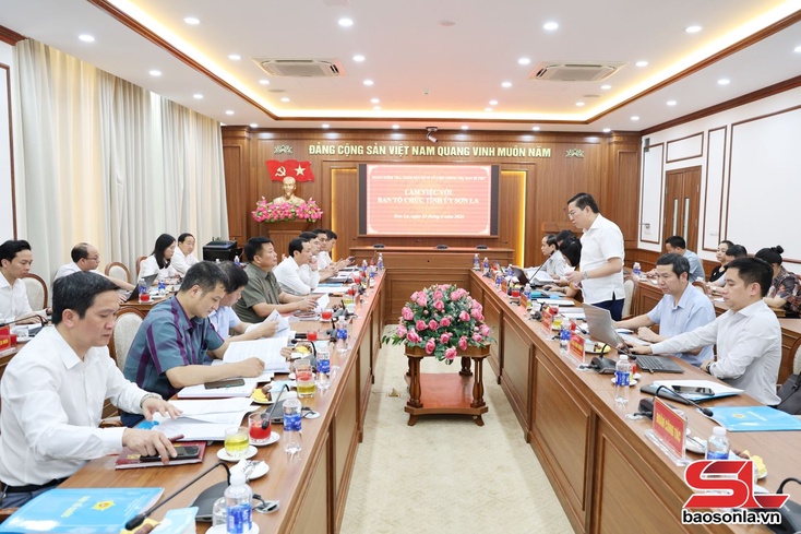 Đoàn kiểm tra, giám sát số 29 của Bộ Chính trị, Ban Bí thư làm việc với Ban Tổ chức Tỉnh ủy