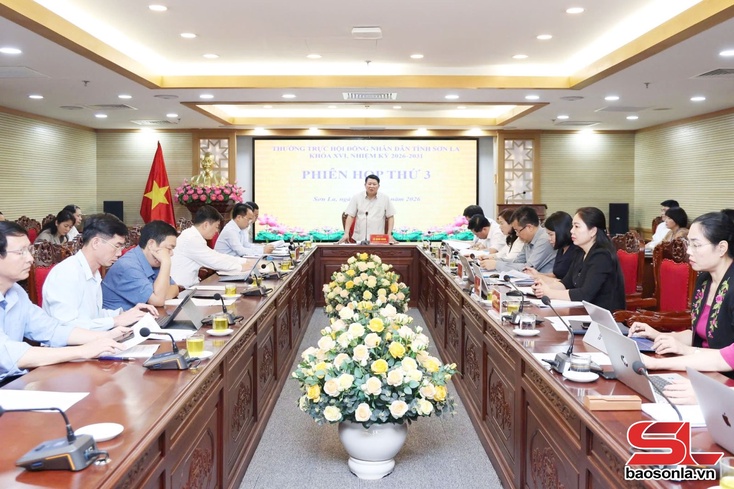 Phiên họp thứ 3 Thường trực HĐND tỉnh khóa XVI, nhiệm kỳ 2026 - 2031