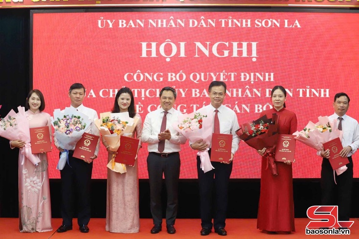 Công bố quyết định của Chủ tịch UBND tỉnh về công tác cán bộ