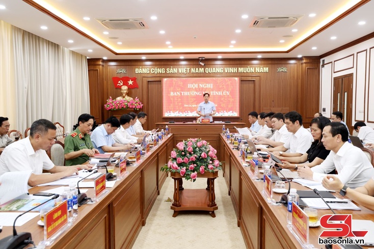 Ban Thường vụ Tỉnh ủy xem xét, quyết định một số nội dung theo thẩm quyền