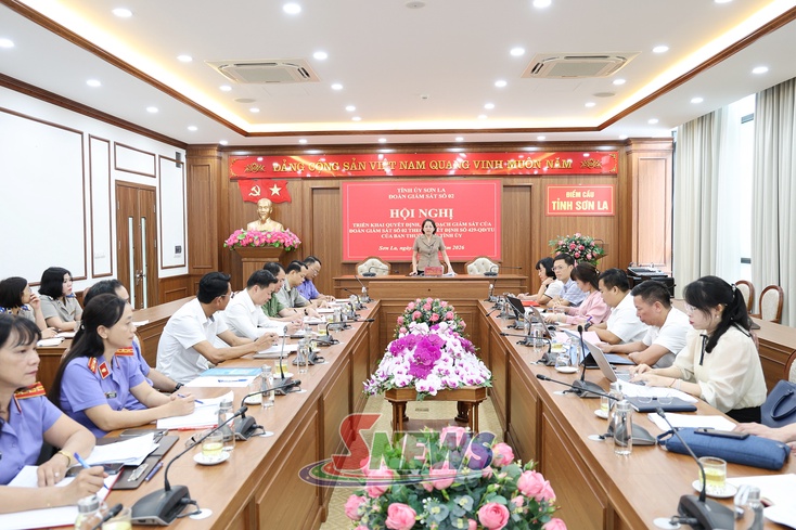 Hội nghị triển khai quyết định, kế hoạch giám sát của Ban Thường vụ Tỉnh ủy đối với các đảng ủy