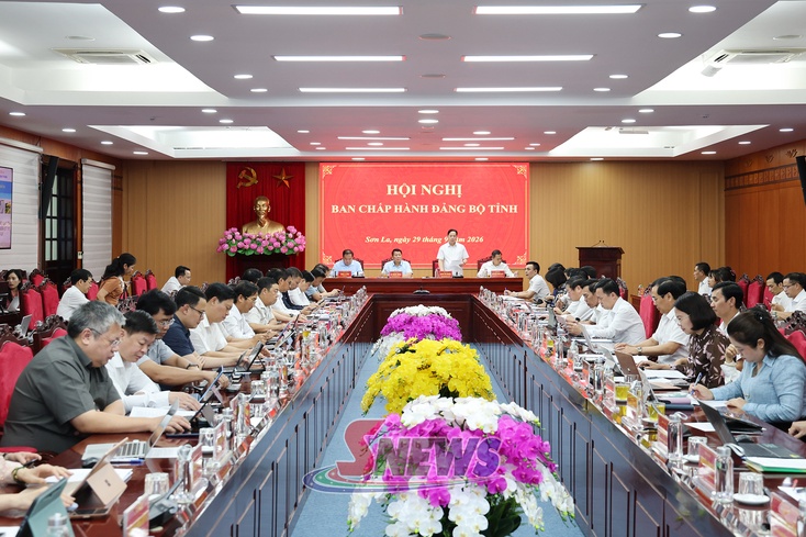 Hội nghị Ban Chấp hành Đảng bộ tỉnh