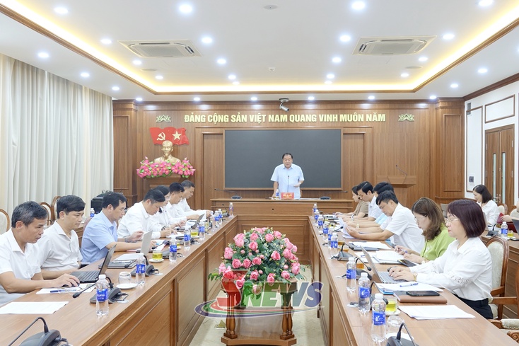 Ban Chỉ đạo 333 triển khai nhiệm vụ trọng tâm quý IV
