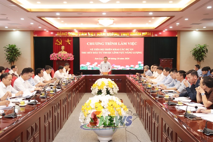 Đẩy nhanh tiến độ triển khai các dự án thu hút đầu tư thuộc lĩnh vực năng lượng