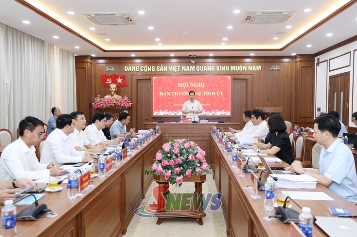 Ban Thường vụ Tỉnh ủy xem xét, quyết định các nội dung theo thẩm quyền