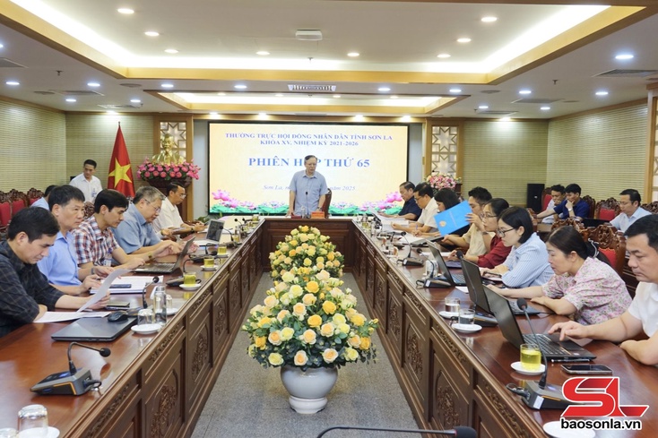 Phiên họp thứ 65 của Thường trực HĐND tỉnh khóa XV