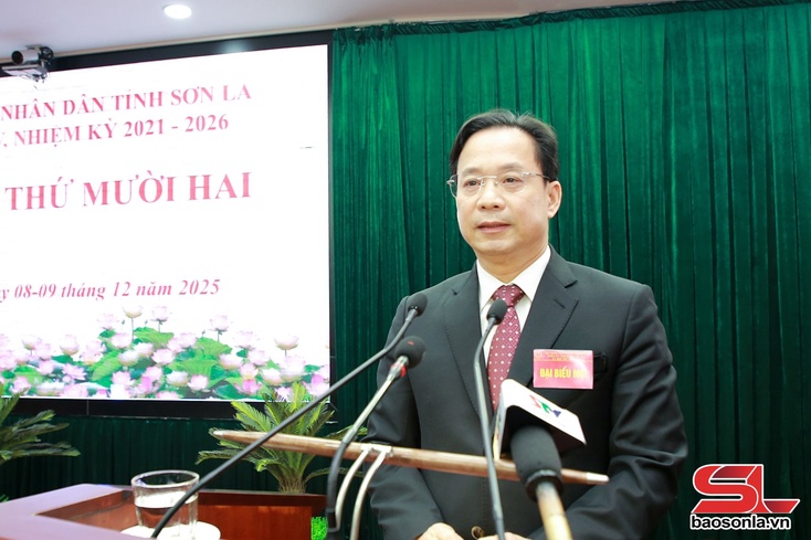 Tập trung vào những vấn đề lớn, cử tri quan tâm để đề ra các giải pháp, tạo bước đột phá về phát triển kinh tế - xã hội của tỉnh