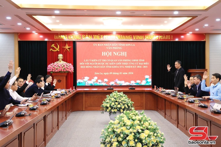 UBND tỉnh thống nhất giới thiệu 2 người ứng cử Đại biểu HĐND tỉnh