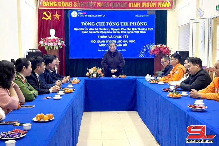 Đồng chí Tòng Thị Phóng thăm, chúc Tết Đội quản lý Điện lực khu vực Mộc Châu - Vân Hồ