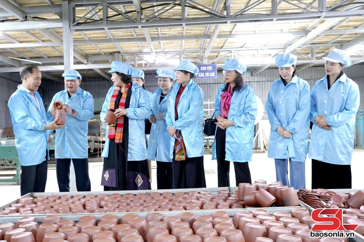 Đồng chí Thống đốc Ngân hàng Nhà nước Việt Nam thăm mô hình phát triển du lịch từ chè shan tuyết cổ thụ Tà Xùa