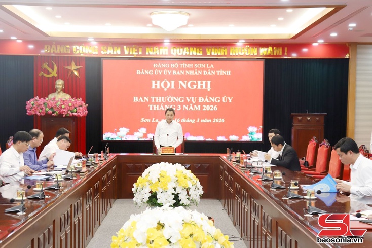 Hội nghị Ban Thường vụ Đảng ủy UBND tỉnh tháng 3/2026