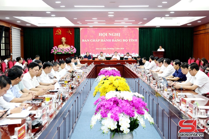 Hội nghị Ban Chấp hành Đảng bộ tỉnh