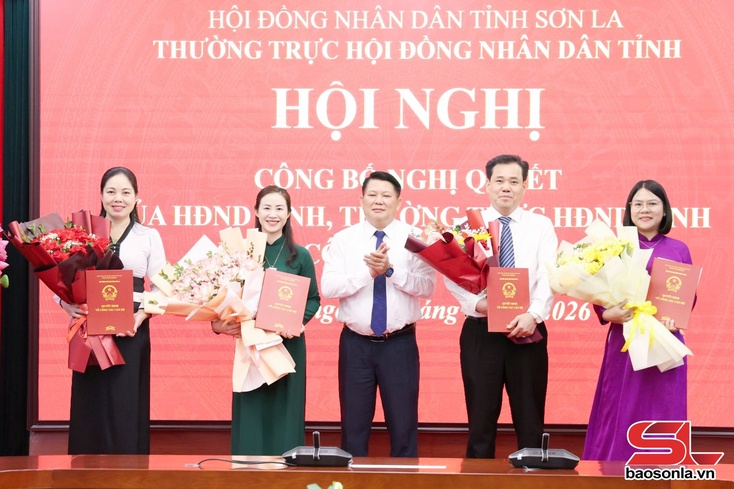 Hội nghị công bố Nghị quyết của HĐND tỉnh, Thường trực HĐND tỉnh về công tác cán bộ
