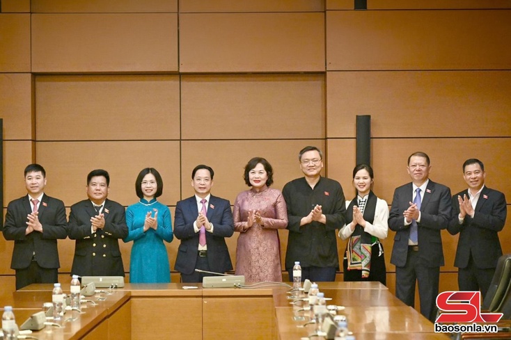 Đoàn đại biểu Quốc hội tỉnh Sơn La khóa XVI bầu Trưởng Đoàn, Phó Trưởng đoàn