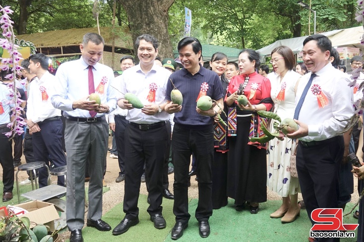 Khai mạc Ngày hội xoài Yên Châu năm 2026