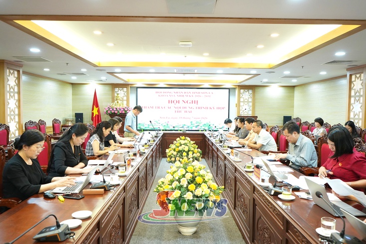 Thẩm tra dự thảo nghị quyết về giao biên chế và giao tổng số lượng người làm việc hưởng lương từ ngân sách nhà nước