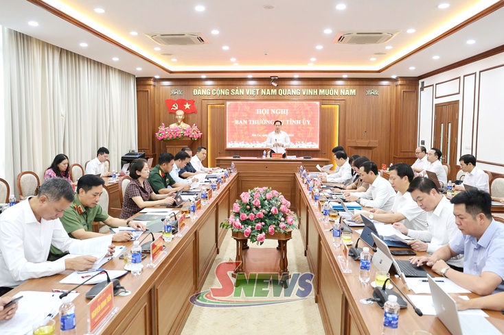 Ban Thường vụ Tỉnh ủy xem xét, quyết định một số nội dung theo thẩm quyền