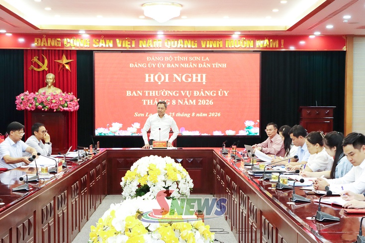 Hội nghị Ban Thường vụ Đảng ủy UBND tỉnh tháng 8/2026