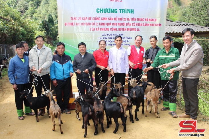 20 poor households in Muong La granted with breeding goats