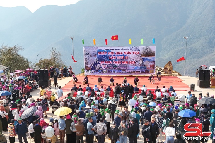 Thousands of tourists flock to Son Tra Flower Festival in Ngoc Chien commune