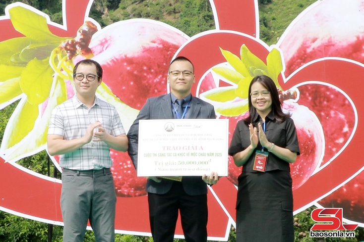 Plum Picking Festival held in Moc Chau plateau