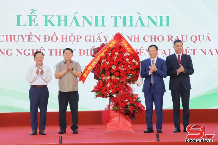Paper-based packaging line for vegetables, fruits inaugurated in Son La