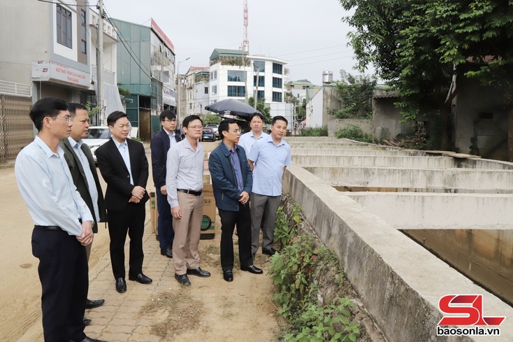 Vice Chairman of provincial People’s Committee inspects progress of projects in Chieng Coi and Chieng Sinh wards