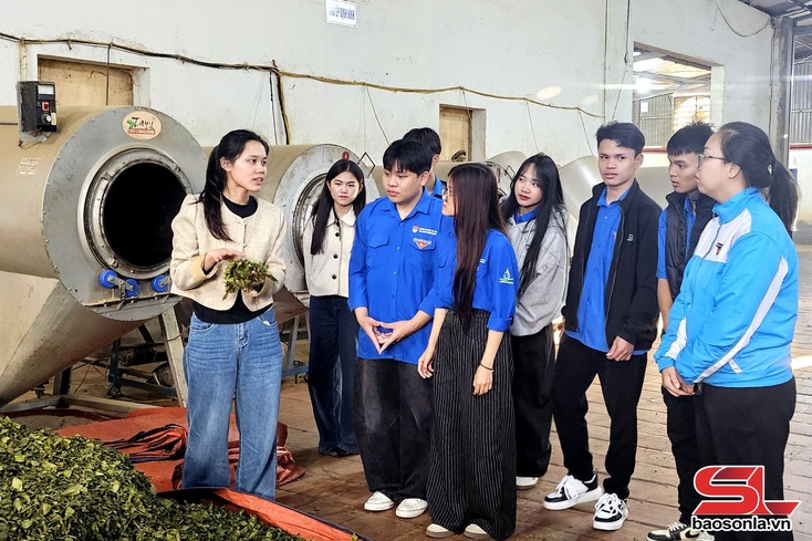 Study tour to exemplary youth startup models organised