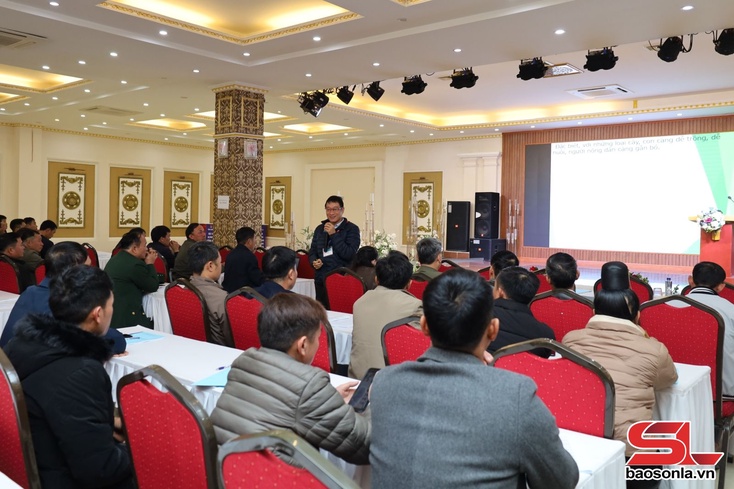 Kria cxaz nzir pênhr xưv huôv tsar nhiax txiax kôngz lông thiaz cxiv kho jêx jok yiaz