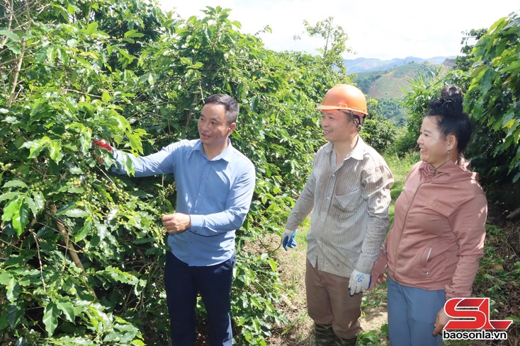 Huôv tsar choz kria thax tsav pêx xênhv hair nênhs tsơưs 