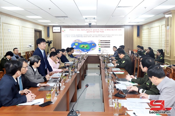 Son La sets orientations for sustainable forestry development