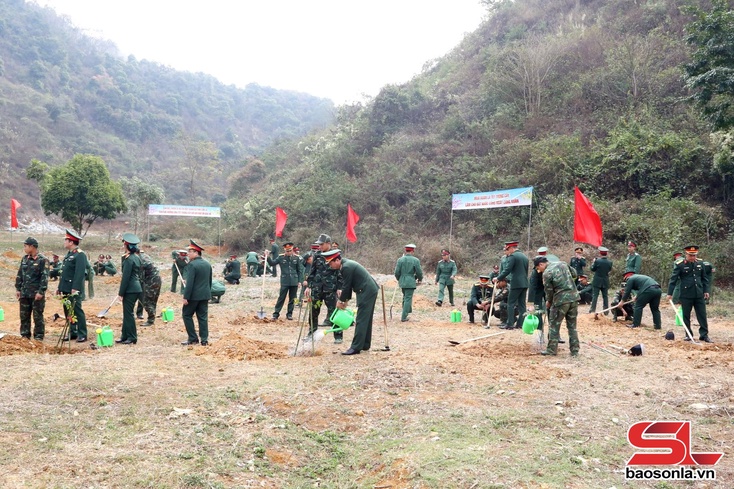 Provincial Military Command launches tree-planting festival 