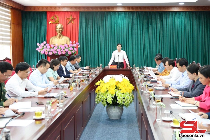 Provincial leader requests immediate implementation of key tasks after Tet