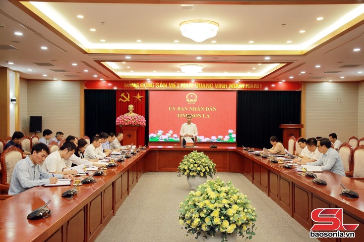 Extra efforts needed to accelerate progress of 220kV-500kV Son La - Dien Bien power line project