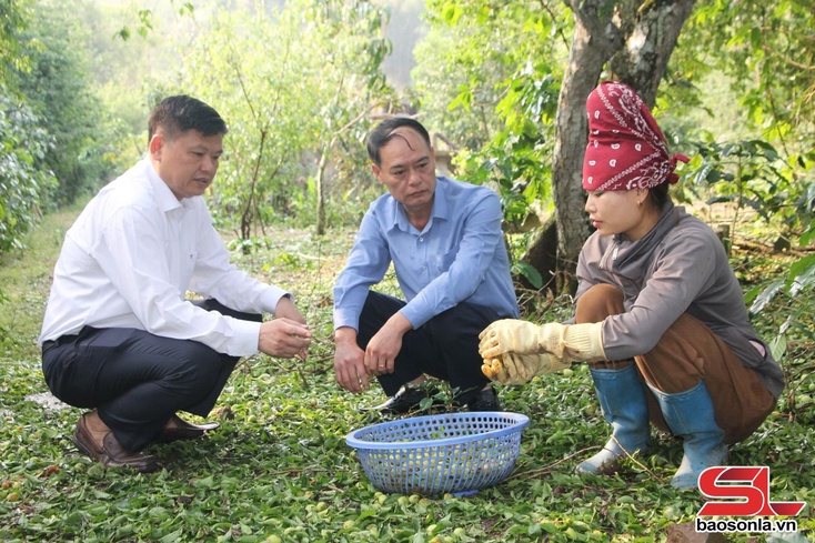 Kiểm tra, kẻ cặm siệt hại pộ phồn mák hếp tốc nẳng phương Chiềng An