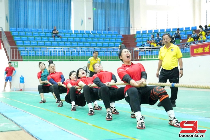 Đoàn Sơn La cựt đảy 9 Huy chương nẳng Giải Vô địch pưng Câu lạc bộ Lạ bài khòng Hươn mương pì 2026