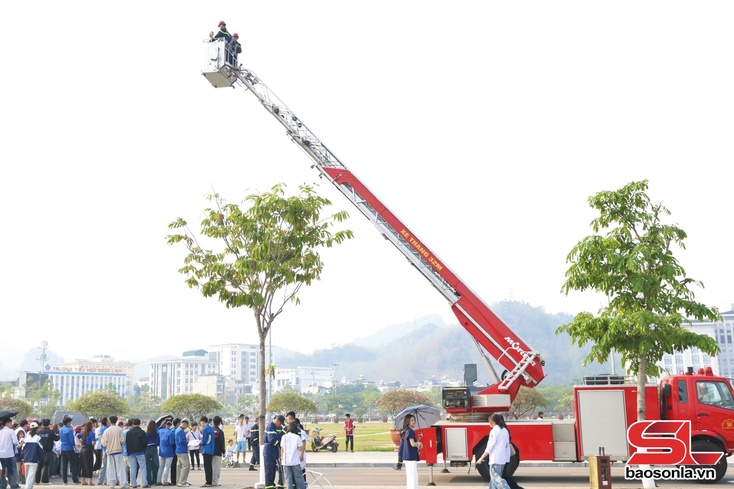 Fuô chai, kria tuô hluôr tơưk chơưv nênhs thiaz huôk chuôz tav trâu yax 1.200 lênhx