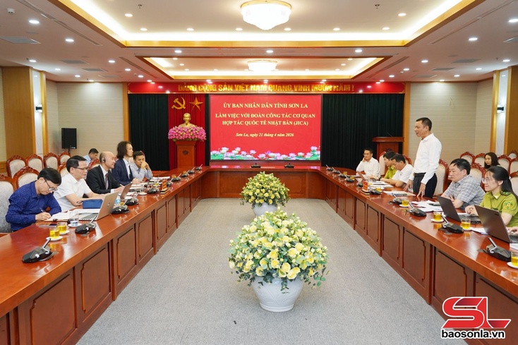  Son La promotes sustainable forestry development